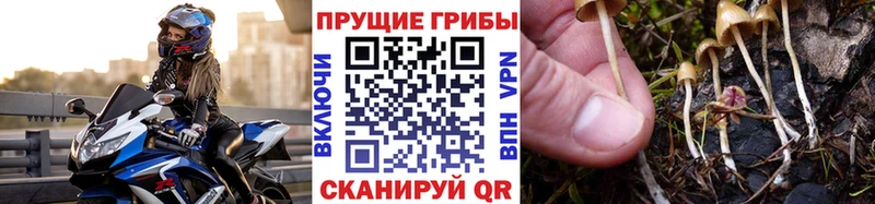 Псилоцибиновые грибы MAGIC MUSHROOMS  купить наркотик  Белорецк 